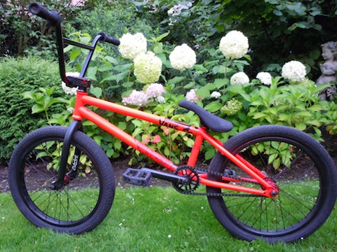 Bruno hoffman frame cheap