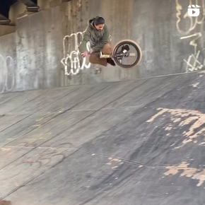BMX フロントホイール THEORY FRONT WHEEL 36H